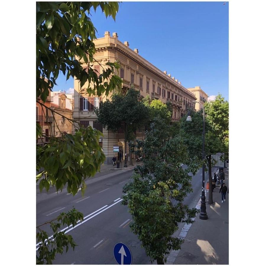 B&B Angolo83 Palermo Centro — Foto 3